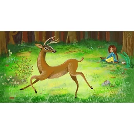 Diafilm - Borsi az erdőben