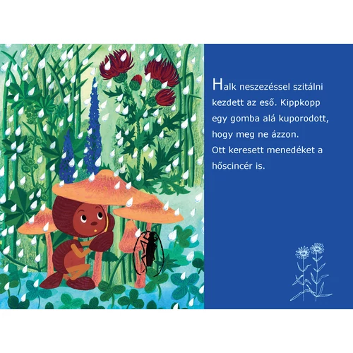 Diafilm Kippkopp a fűben