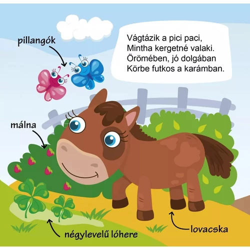 Séta a farmon - kartonkönyv színes képekkel, mondókákkal