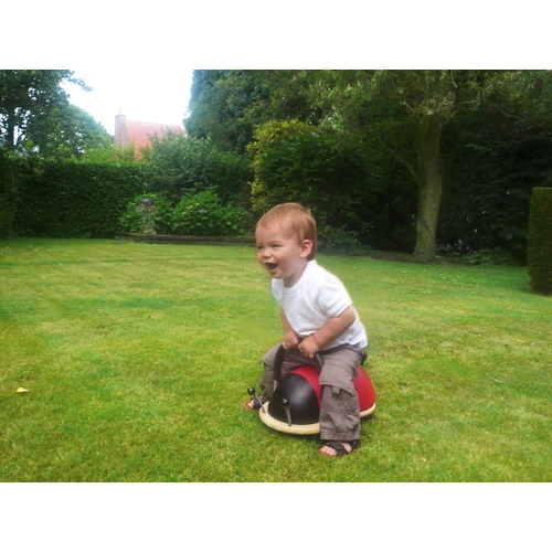 Wheely Bug Ladybug katica jármű