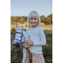 Hobby Horse