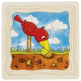 Emeletes puzzle - tölgyfa fejlődése
