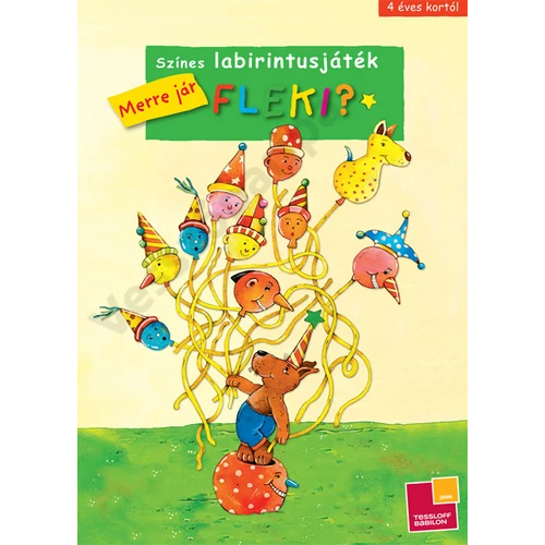 Színes labirintusjáték Merre jár Fleki? 4 éves kortól