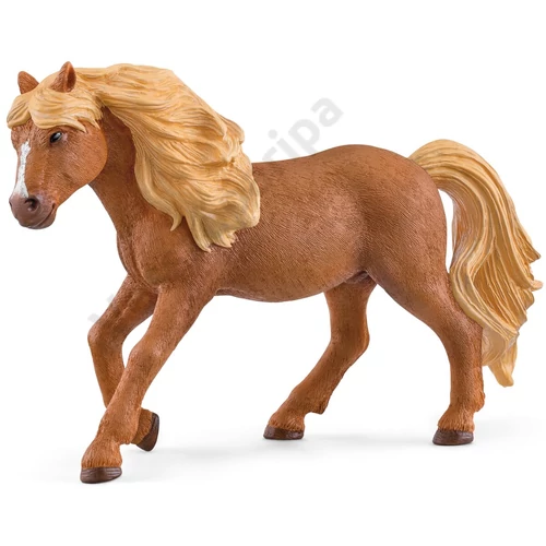 Schleich Iceland pony mén
