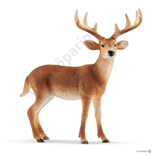 Schleich Fehérfarkú szarvas