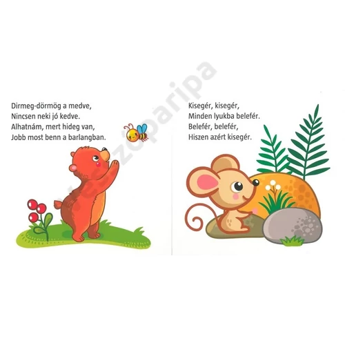 Színes képekkel illusztrált fejlesztő könyv