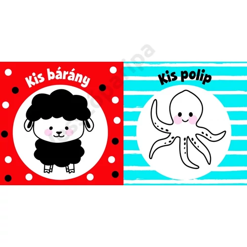 Színes képekkel illusztrált pancsikoló könyv