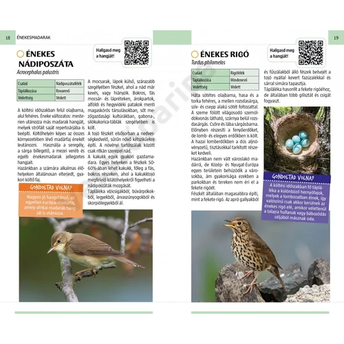 Énekesmadarak- Természetbarátok zsebkönyve - mintaoldal 1