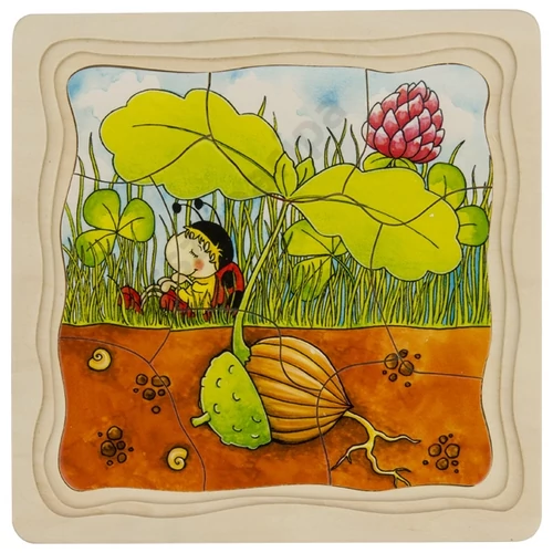 Emeletes puzzle - tölgyfa fejlődése