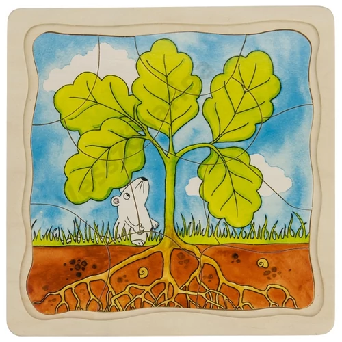 Emeletes puzzle - tölgyfa fejlődése
