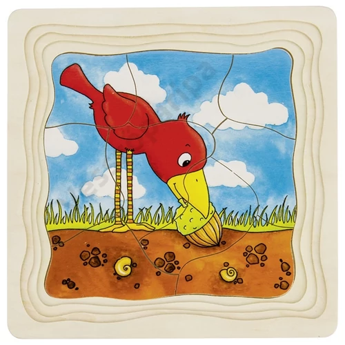 Emeletes puzzle - tölgyfa fejlődése