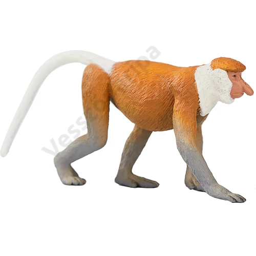 Animal Planet Borneói nagyorrú majom (Proboscis)
