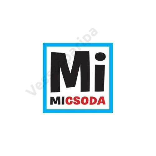 Mi Micsoda logo - vesszoparipa.hu