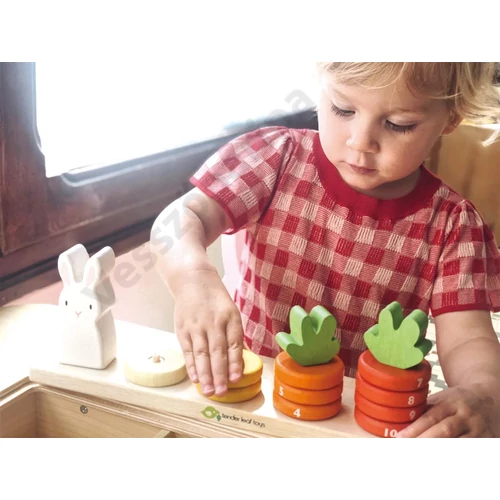 Logikai számtorony - Répa - Tender Leaf Toys