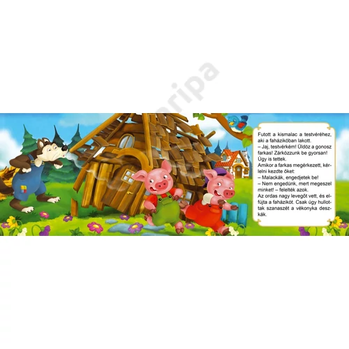 Fejlesztőpedagógusok ajánlásával