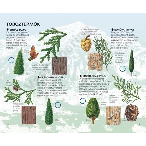 színes könyv a fafajtákról