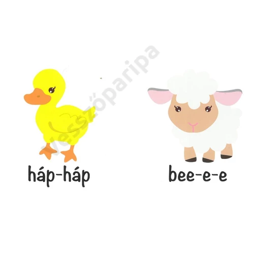 Háziállatok színes képeivel