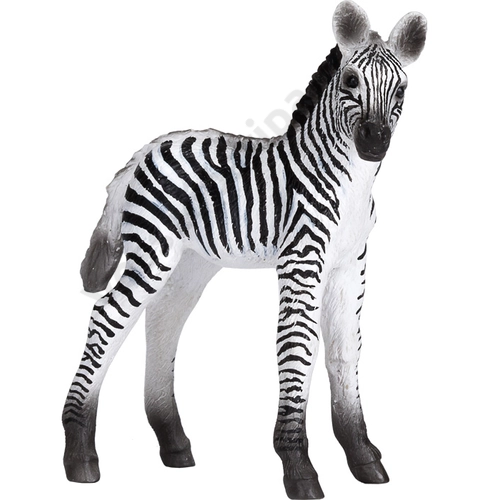 Animal Planet zebra csikó