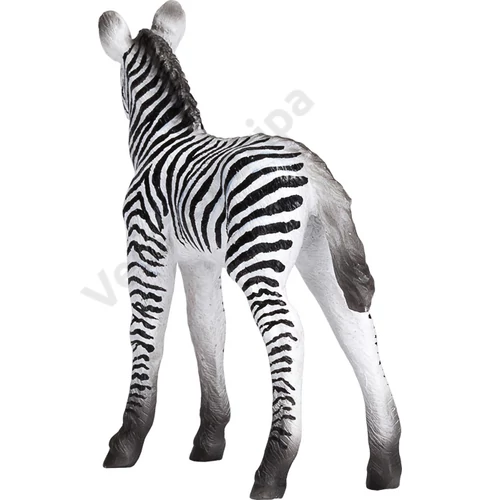Animal Planet zebra csikó