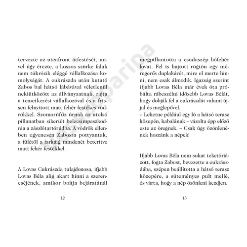 aki zebra volt - humoros kisregény 7 éves kortól