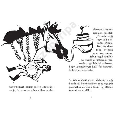 aki zebra volt - humoros kisregény 7 éves kortól