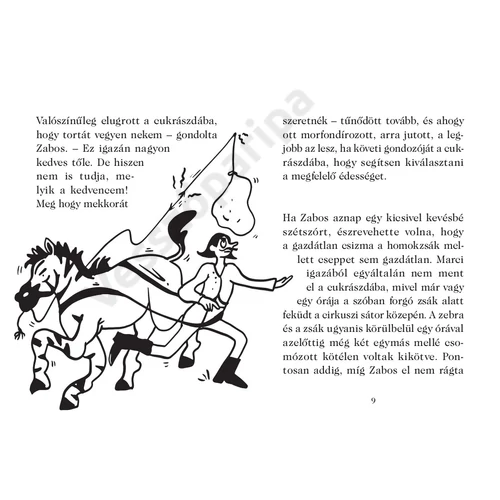 aki zebra volt - humoros kisregény 7 éves kortól