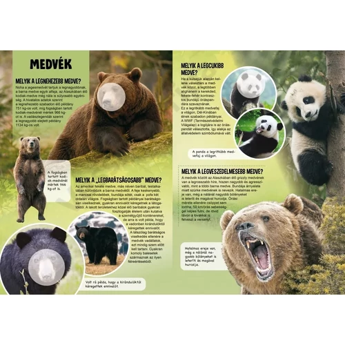 Színes képekkel, érdekességekkel teli foglalkoztató