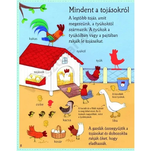 Érdekességek - ételekről - könyv óvodásoknak