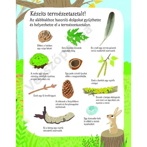 Színes képekkel és rövid magyarázatokkal