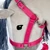 By Astrup pink kötőfék és szár Hobby Horse-hoz