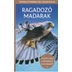 Ragadozó madarak - Természetbarátok zsebkönyve