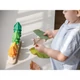 Plantoys fák sorba rendező játék