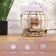 UGEARS akvárium adatok