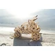 UGEARS Sivatagi Buggy homokon