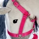 By Astrup pink kötőfék és szár Hobby Horse-hoz