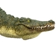 Kép 6/7 - Animal Planet krokodil