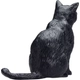 Kép 4/6 - Animal Planet fekete macska