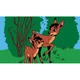 bambi diafilm