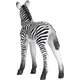 Animal Planet zebra csikó