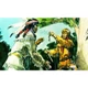 Diafilm - Winnetou